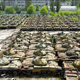 Illustration for article titled These Abandoned Tanks Are Rusting Mementoes of the Wars of the Past